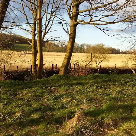 Altes Pfarrhaus Bed & Breakfast