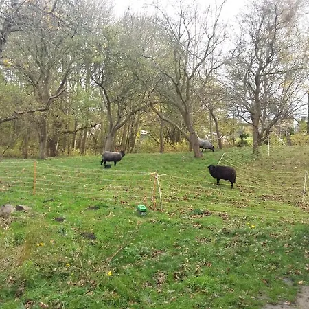 Bed & Breakfast Altes Pfarrhaus