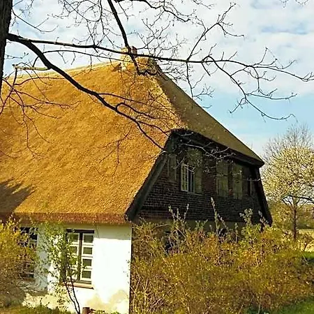 Altes Pfarrhaus 3* Neuenkirchen auf Rugen