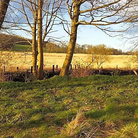 Altes Pfarrhaus 3* Neuenkirchen auf Rugen