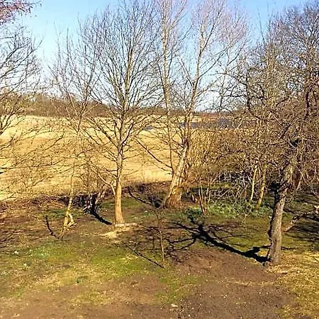 Altes Pfarrhaus 3* Neuenkirchen auf Rugen